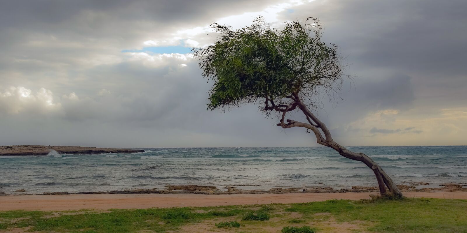 Nikon D3300 sample photo. Tree, beach, sky photography