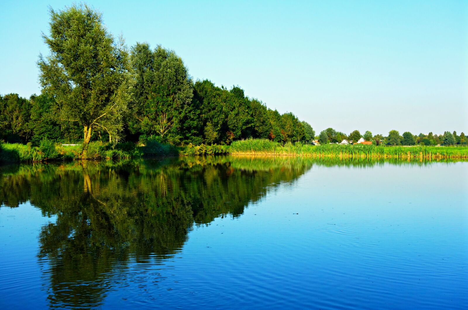 Sony Cyber-shot DSC-RX100 sample photo. Landscape, holland, water photography