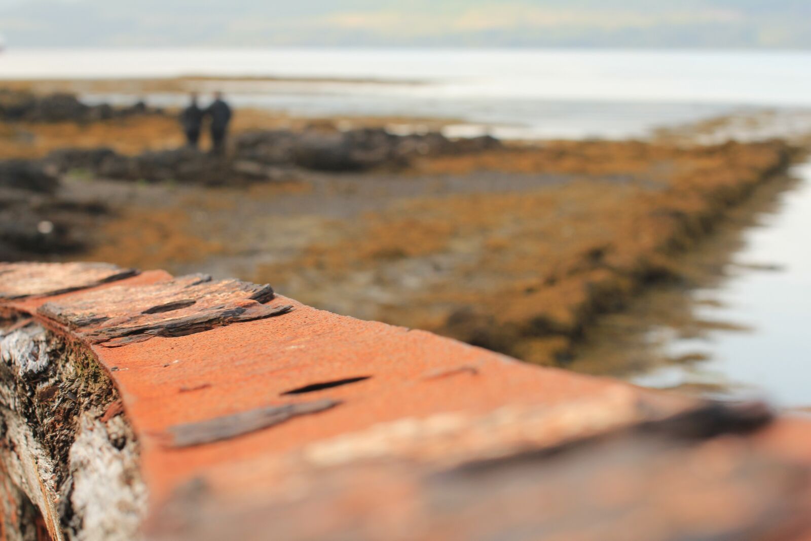 Canon EOS 550D (EOS Rebel T2i / EOS Kiss X4) sample photo. Nature, island, nature landscape photography