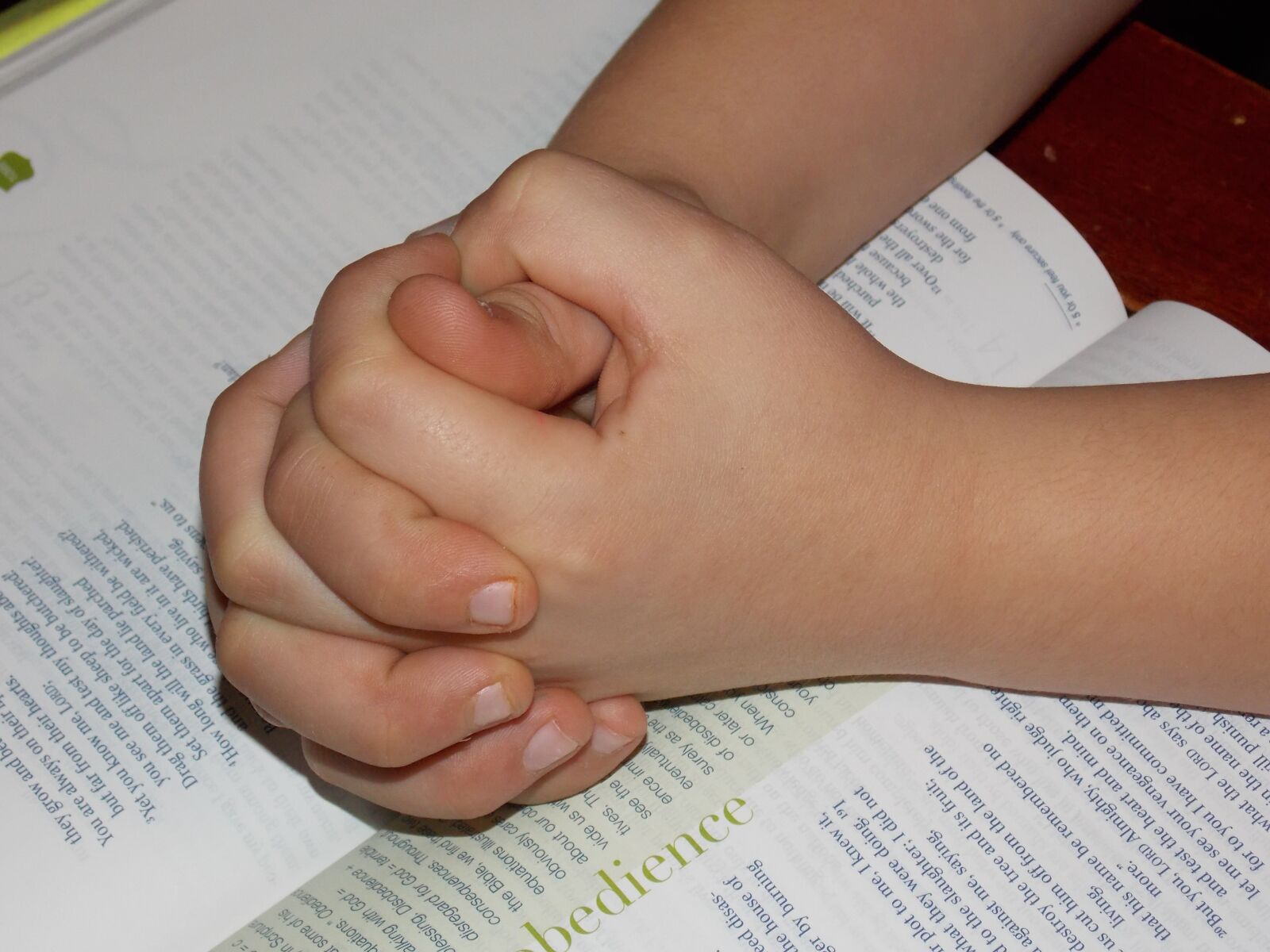 Nikon COOLPIX L320 sample photo. Child praying hands, bible photography