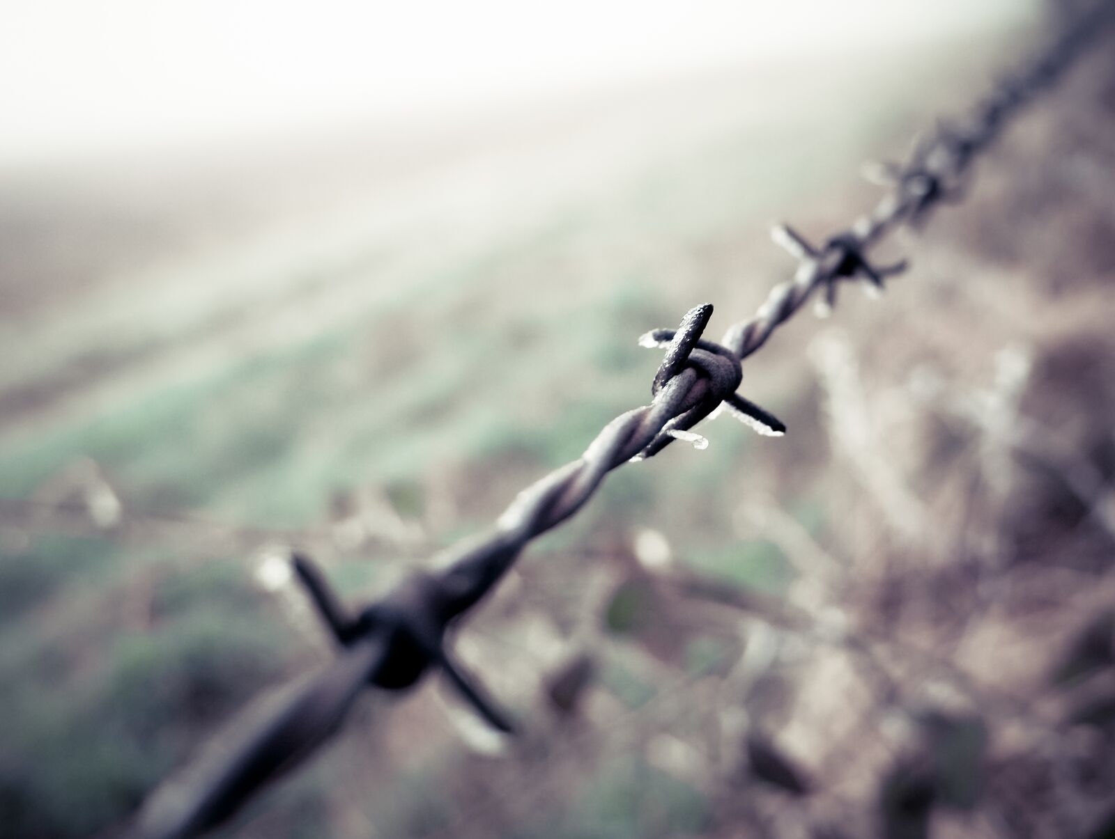 Ricoh GR + GR Lens sample photo. Barbed wire, field, winter photography