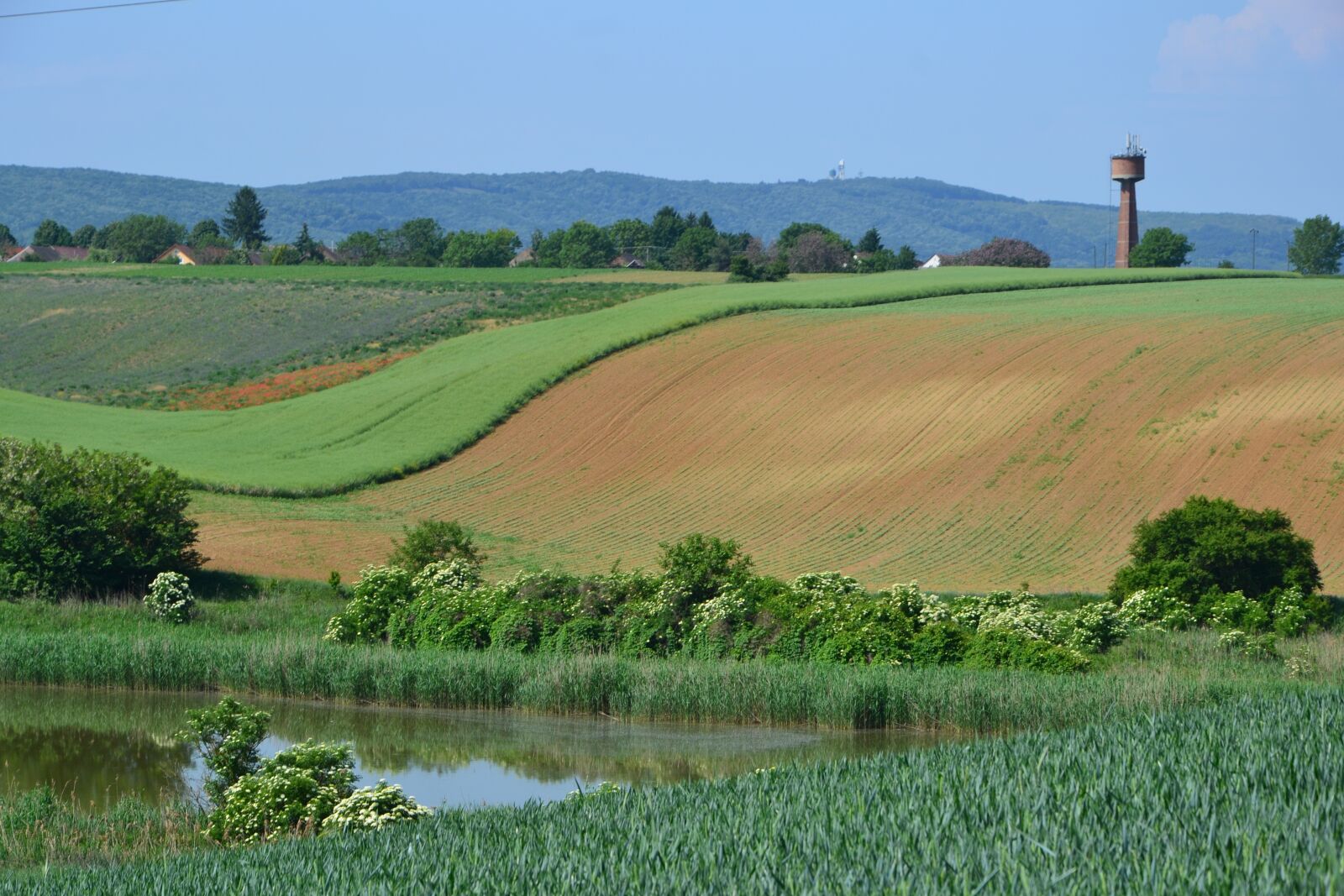 Nikon D3100 sample photo. Vokány, baranya, spring photography
