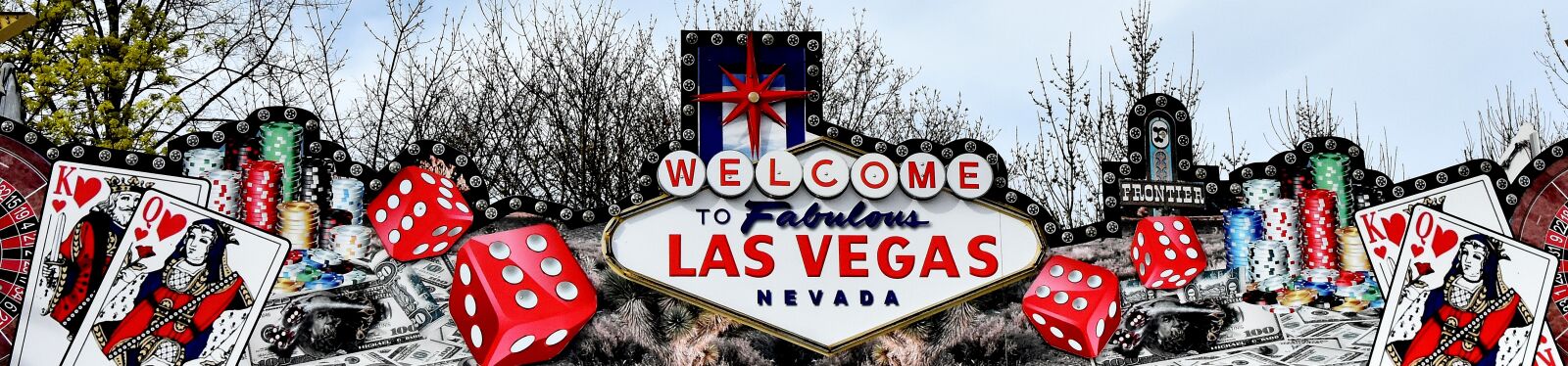 Nikon D7200 sample photo. Shield, las vegas, game photography