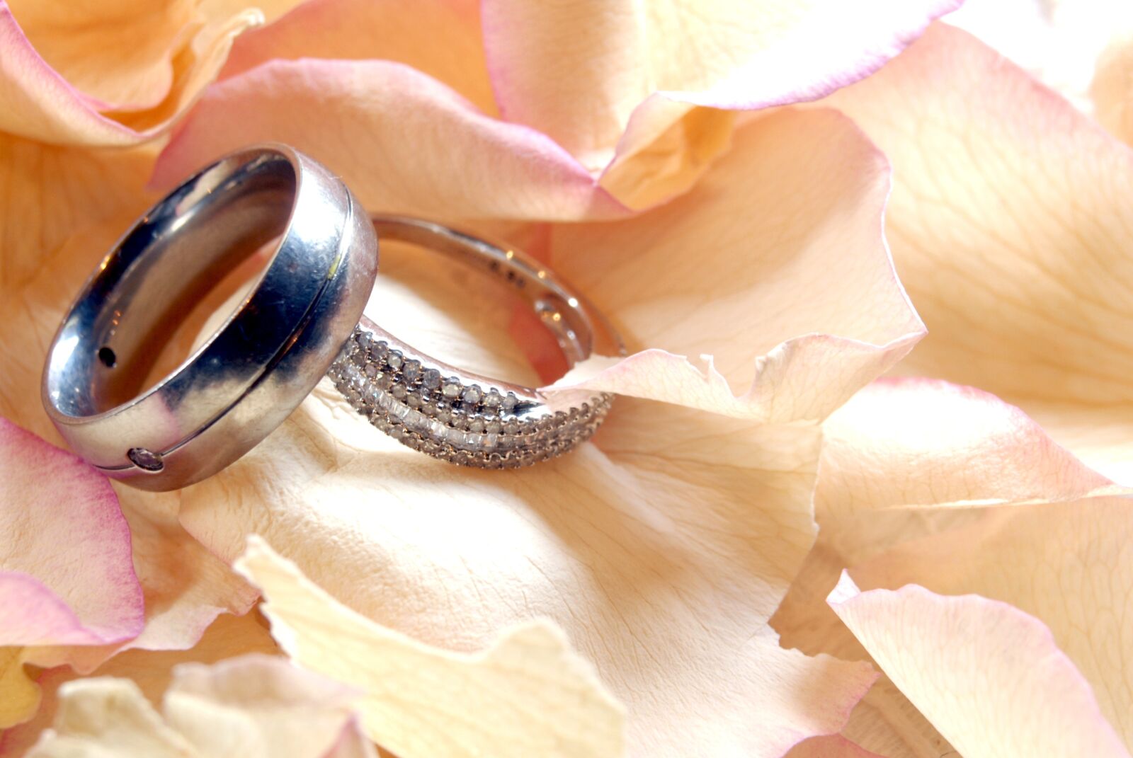 Nikon D200 sample photo. Ring, wedding, marriage photography