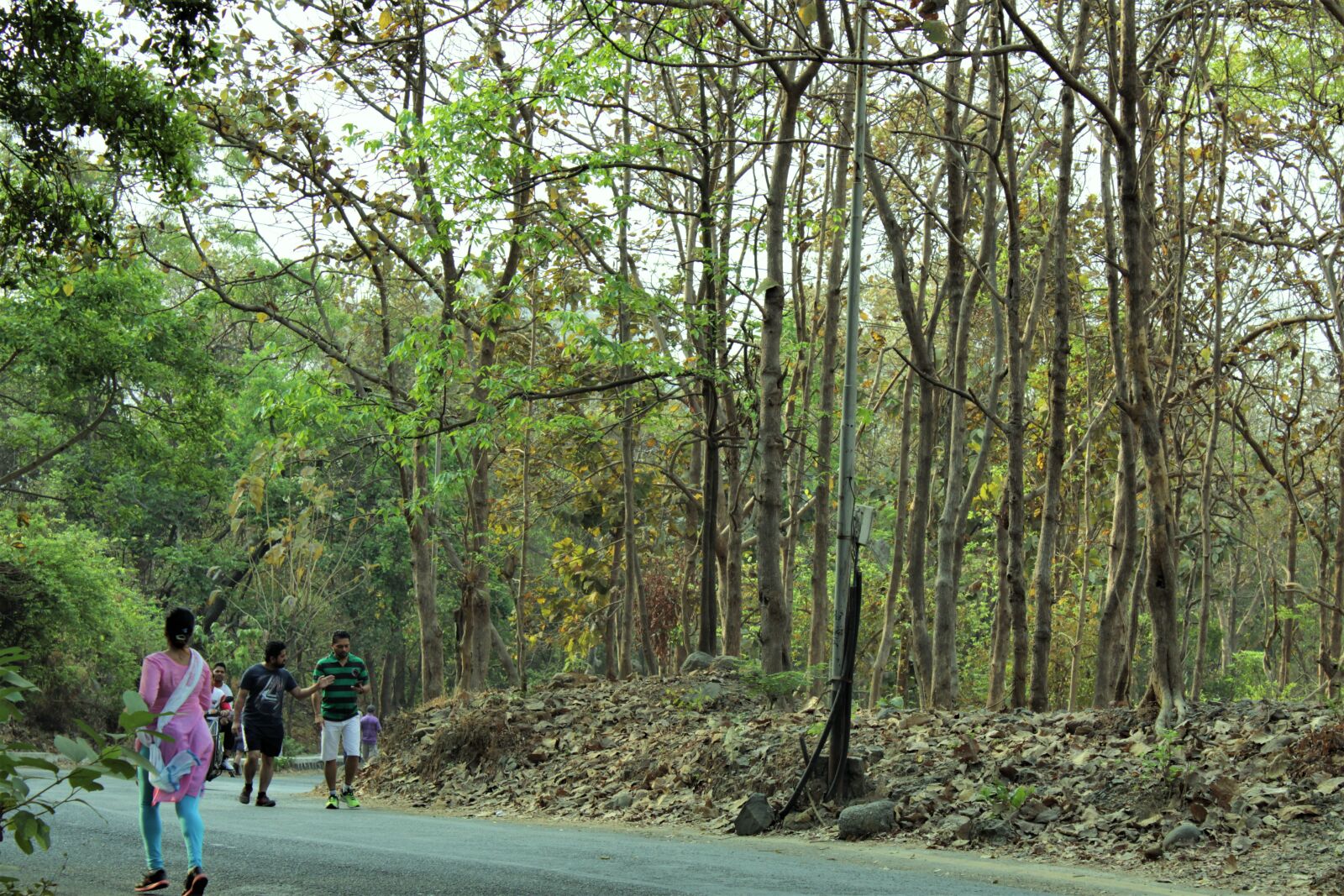 Canon EOS 1200D (EOS Rebel T5 / EOS Kiss X70 / EOS Hi) sample photo. Forest, jogger, street photography