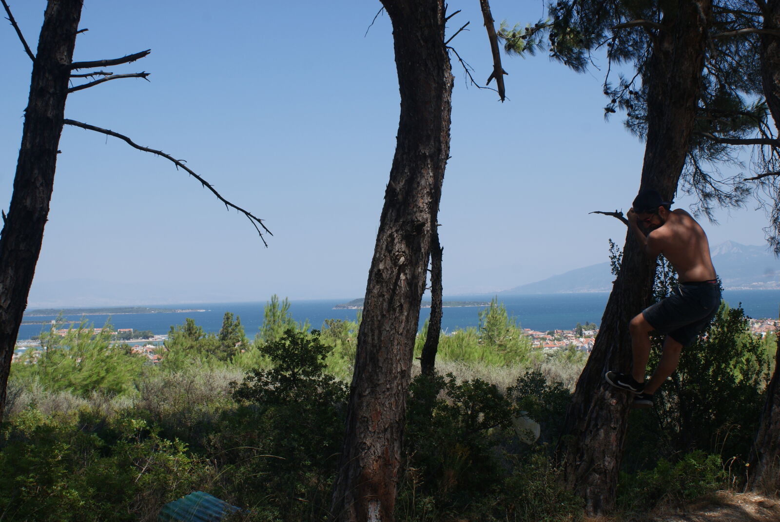 Sony DT 18-70mm F3.5-5.6 sample photo. Friend, nature, enjoy, summer photography