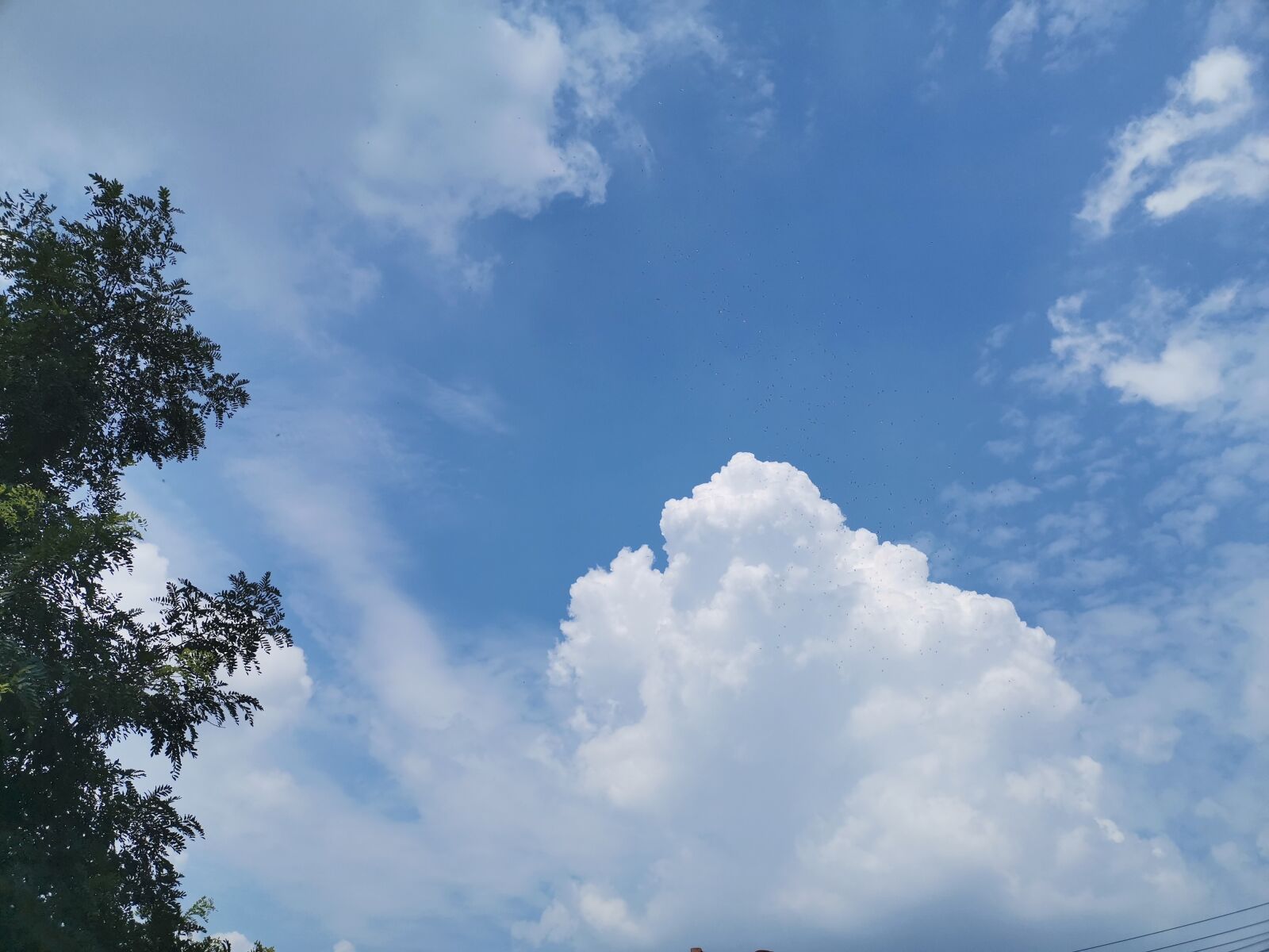 HUAWEI HLK-AL00 sample photo. Sky, blue, clouds photography