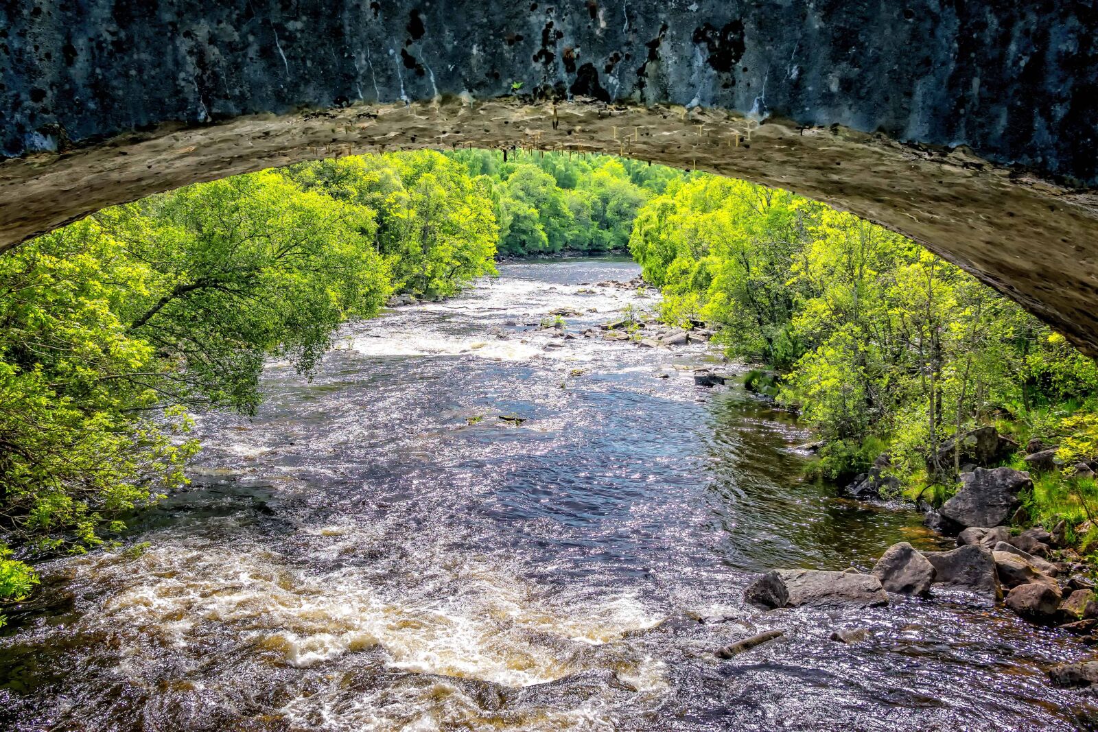Nikon D3300 sample photo. Landscape, river, nature, water photography