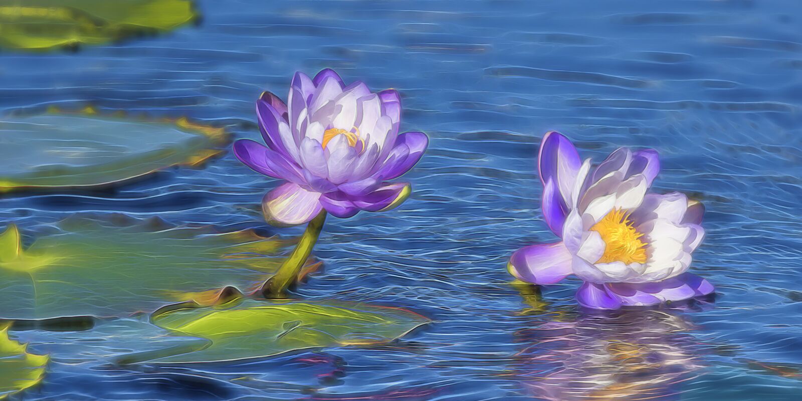 Canon EF 100-400mm F4.5-5.6L IS II USM sample photo. Lilly, water, bloom photography