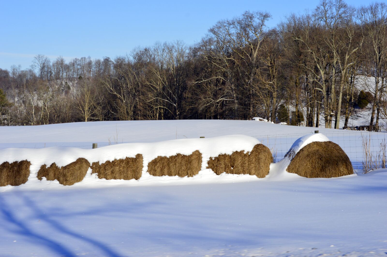 Nikon D3200 sample photo. Hay bales, snow, farm photography