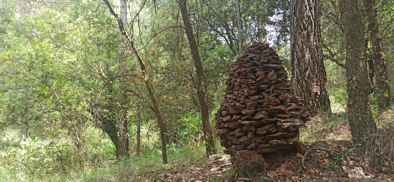 Xiaomi Redmi Note 8 Pro sample photo. Land art, art, nature photography