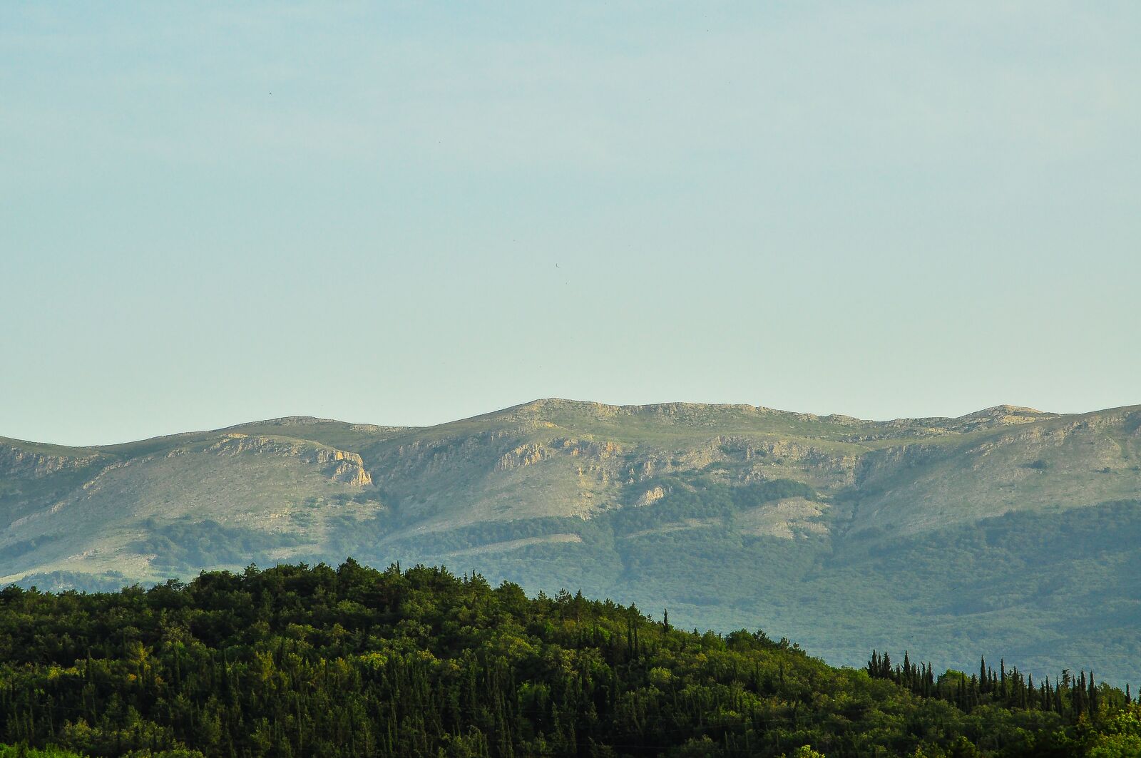 Nikon D90 sample photo. Crimea alushta, forest, mountains photography