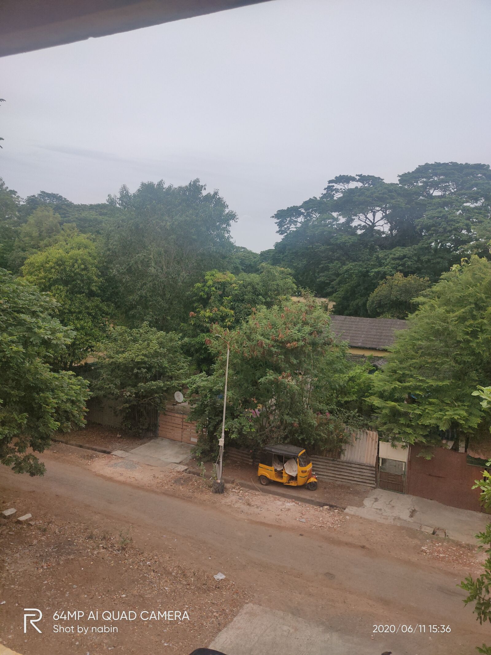 Realme XT sample photo. Tree, park, auto photography