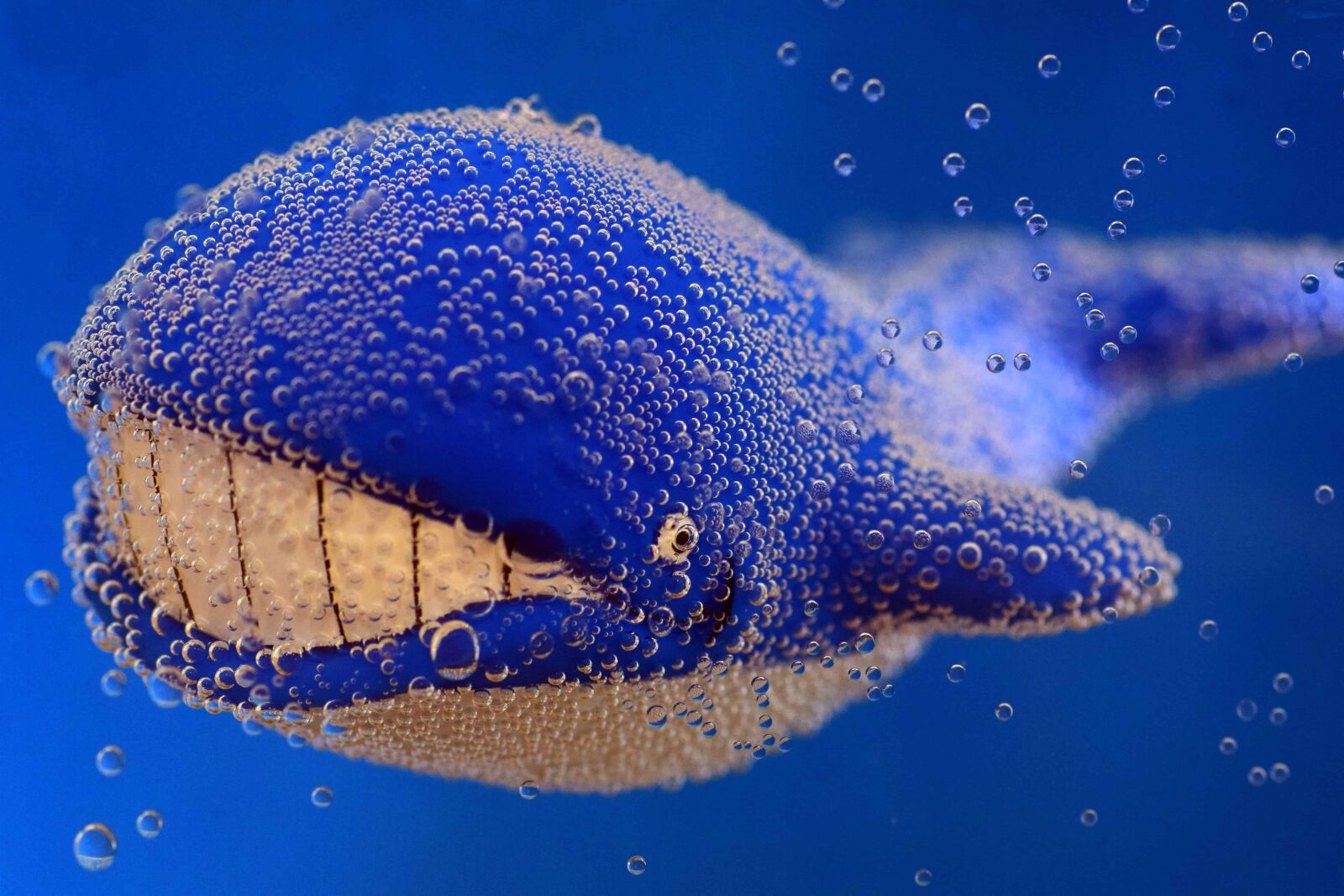 Nikon D3300 sample photo. Toy, whale, underwater, macro photography