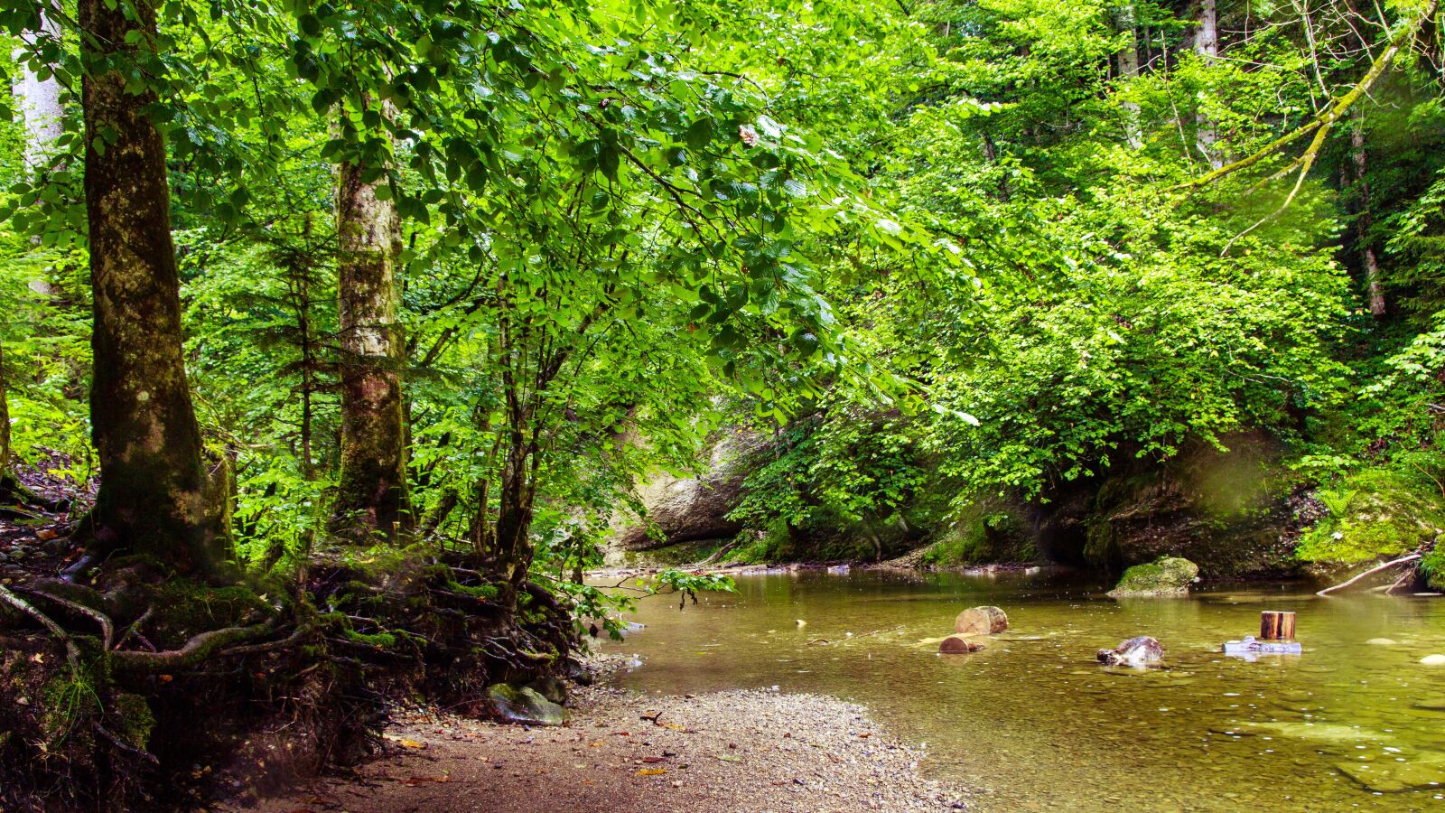 Canon EOS 650D (EOS Rebel T4i / EOS Kiss X6i) sample photo. River, eistobel, isny photography