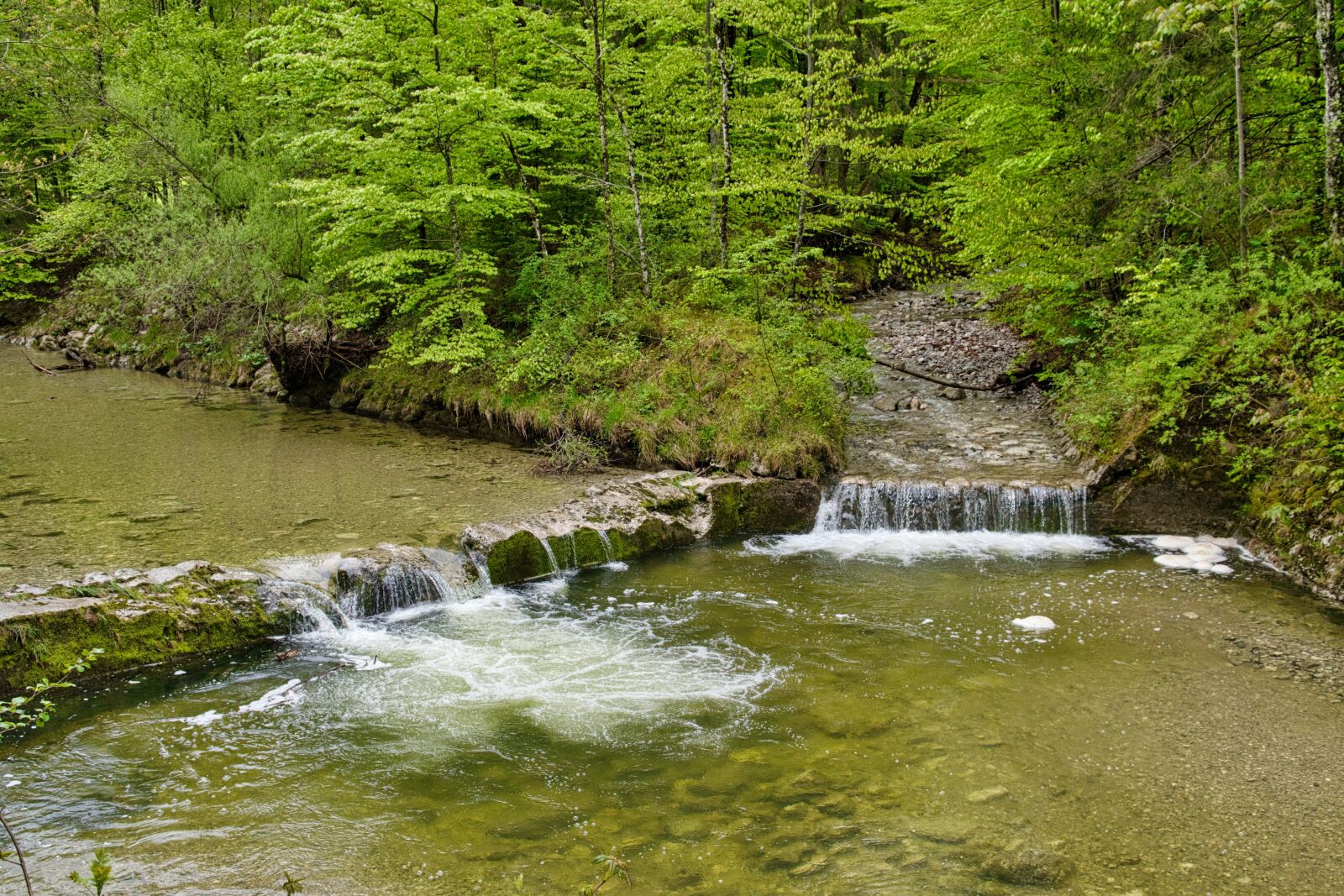 Nikon D7500 sample photo. River, prien, cascades photography