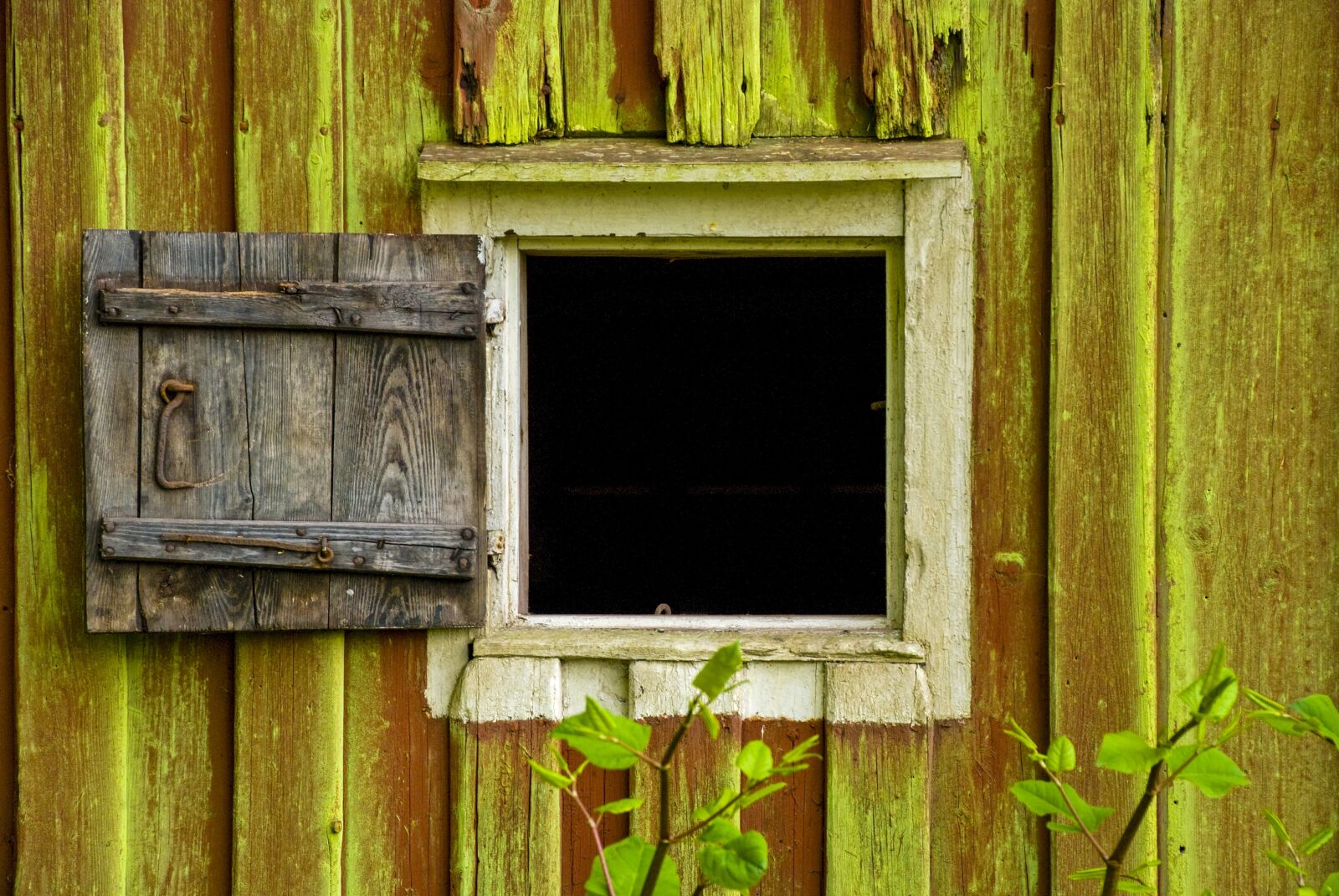 Nikon D80 sample photo. Window, old wood, window photography