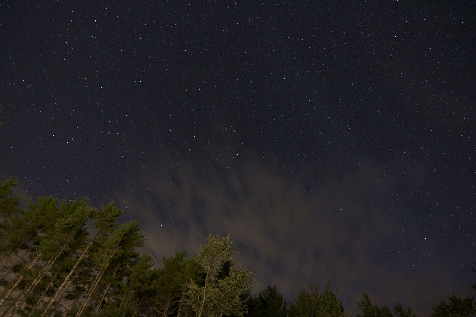 Tokina AT-X Pro 11-16mm F2.8 DX sample photo. Clouds, night, stars, trees photography