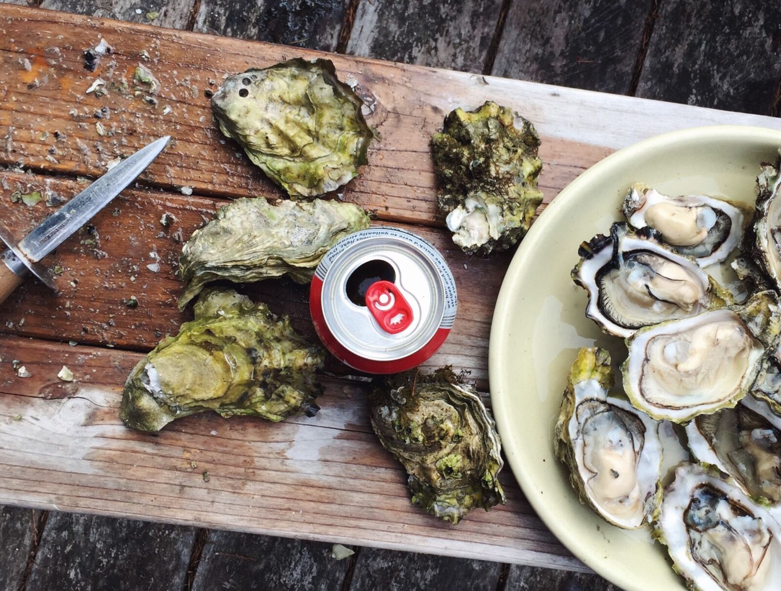 Apple iPhone 6 sample photo. Can, crustacean, delicious photography