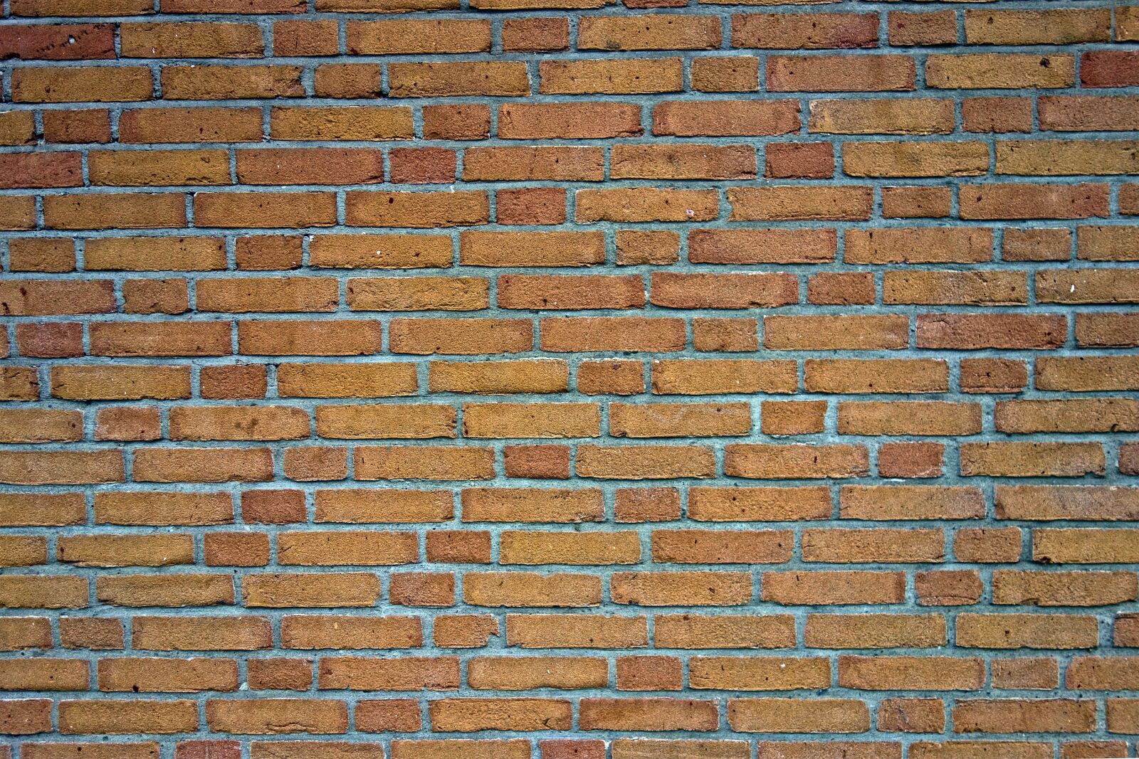 Sony Cyber-shot DSC-RX100 sample photo. Brick wall, wall, brick photography