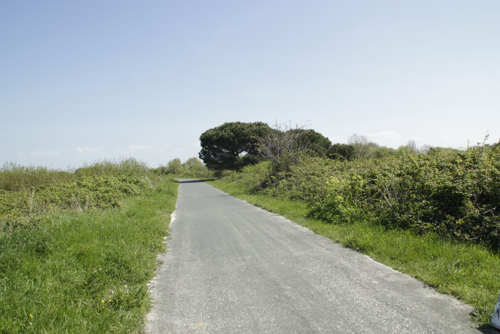 Canon EOS 550D (EOS Rebel T2i / EOS Kiss X4) sample photo. Nature, road, landscape photography