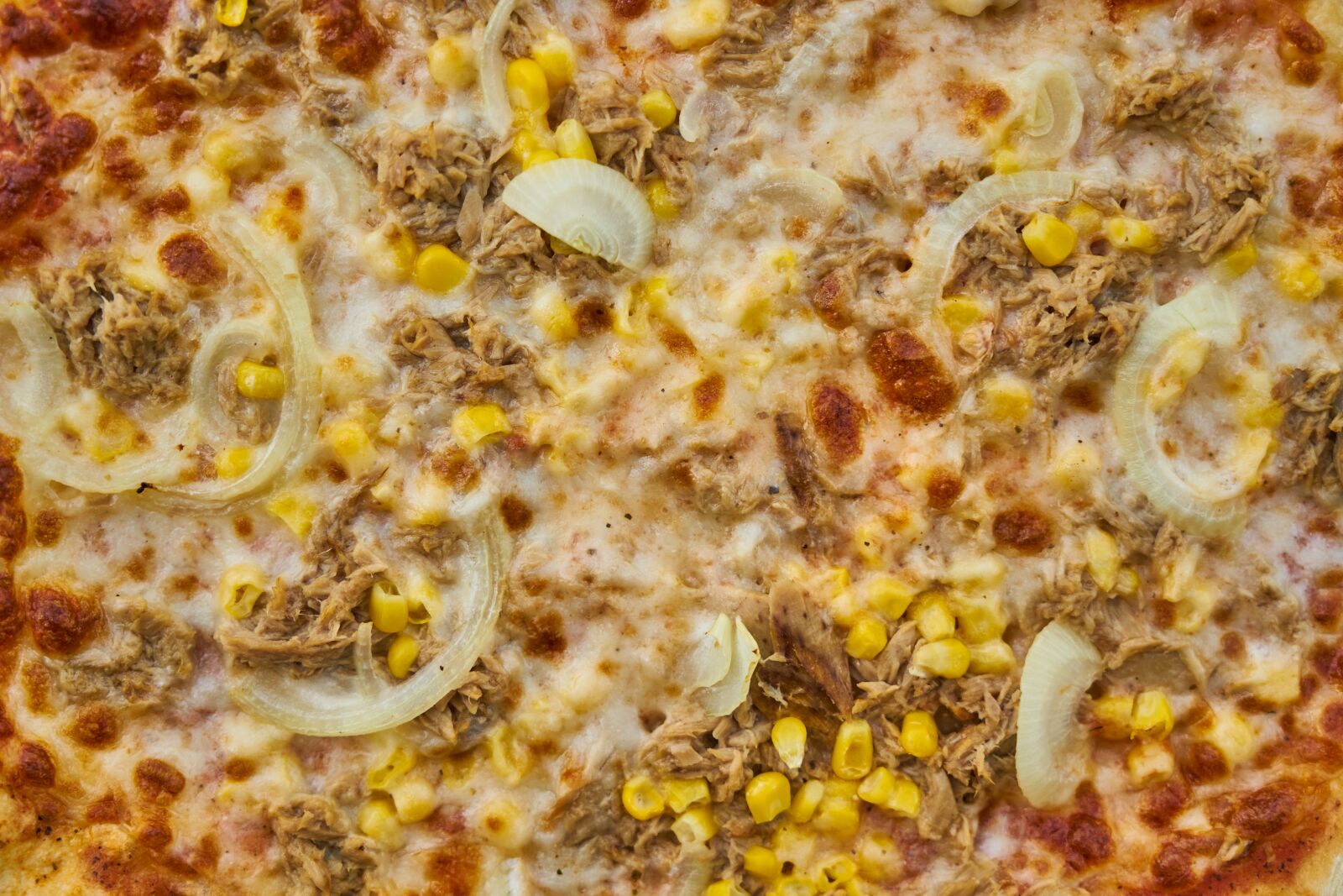 Sony a7R II sample photo. Pizza, egypt, onion photography