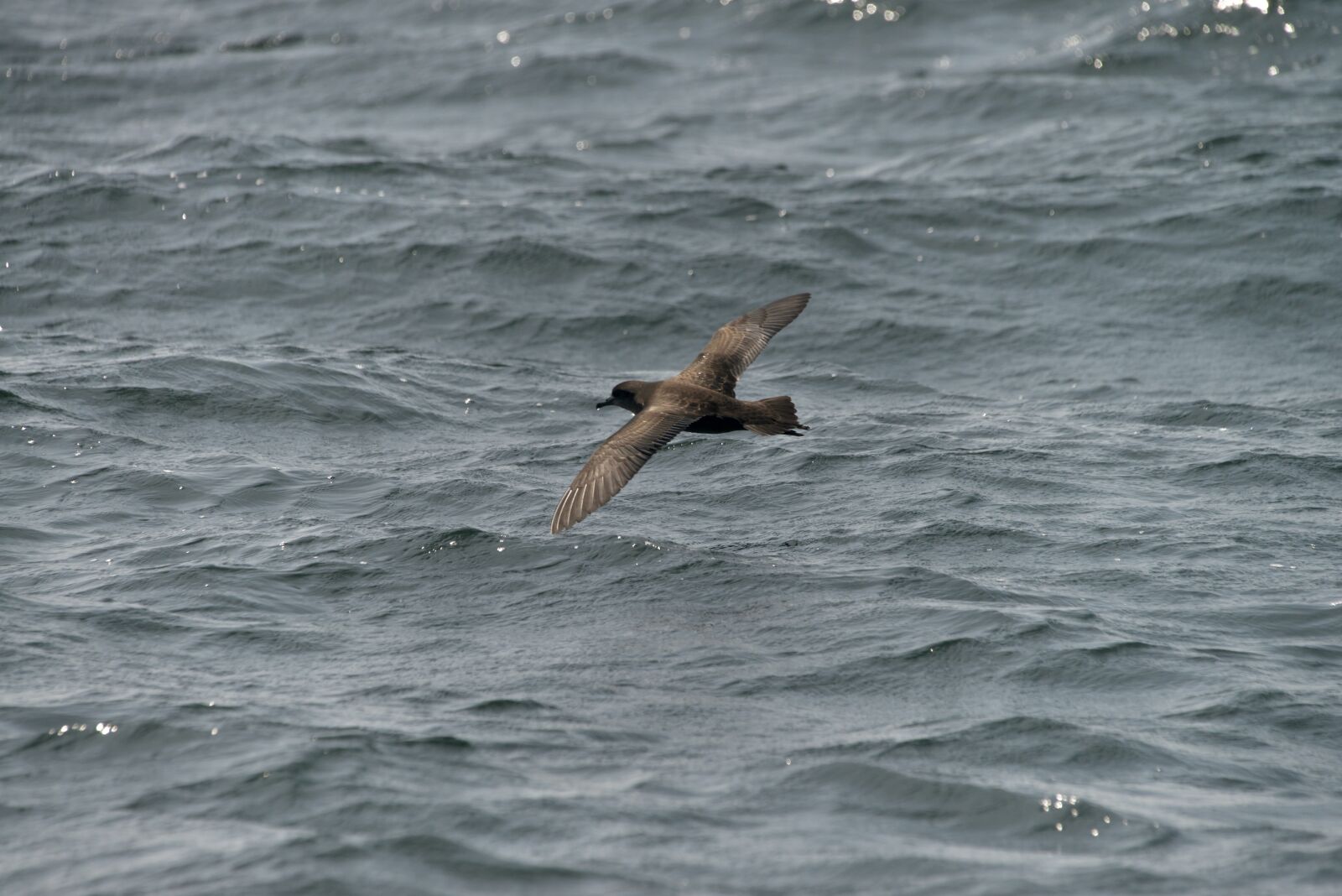 Nikon D800 sample photo. Waters, sea, ocean photography