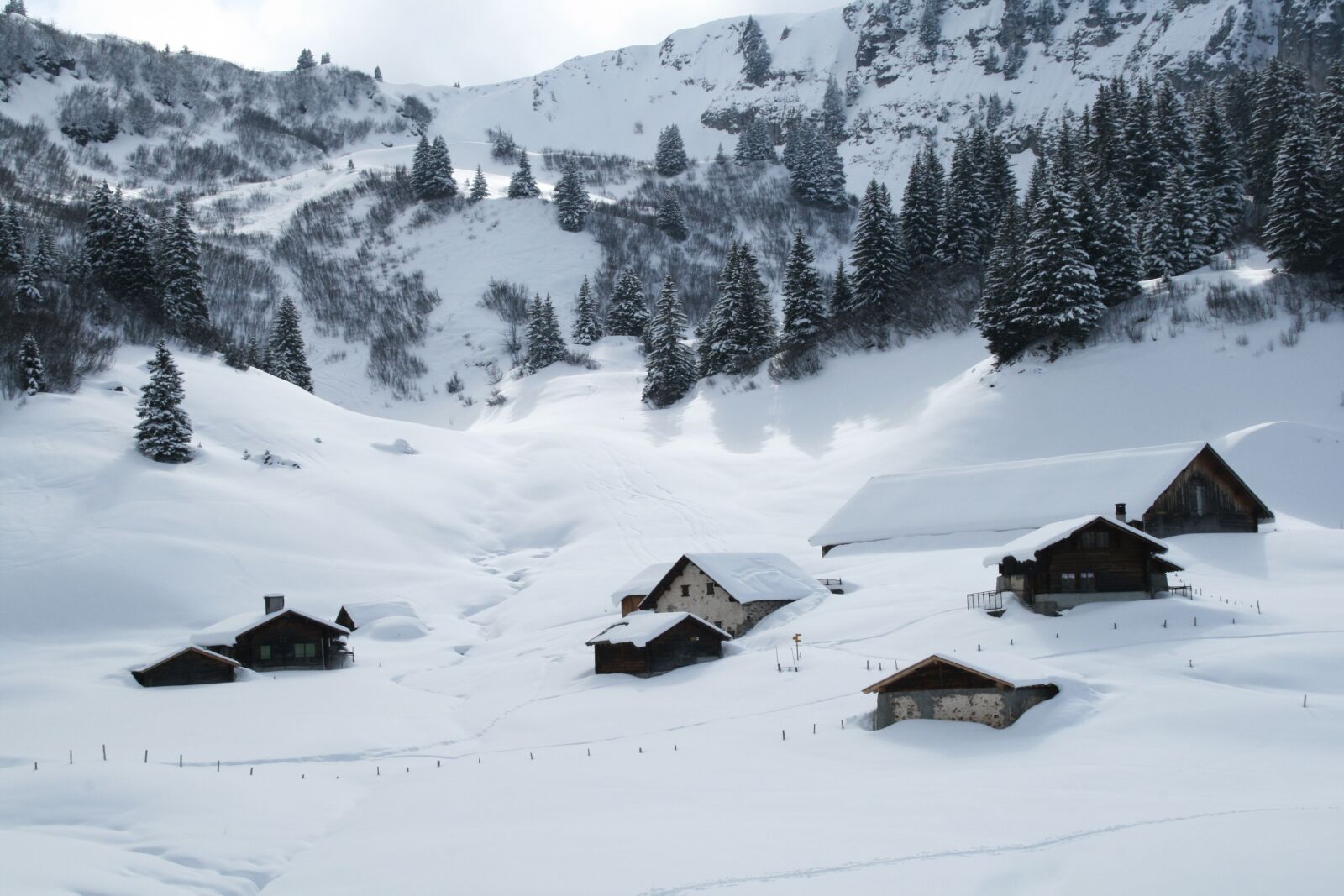 Canon EOS 400D (EOS Digital Rebel XTi / EOS Kiss Digital X) sample photo. French-speaking switzerland, snow, trees photography