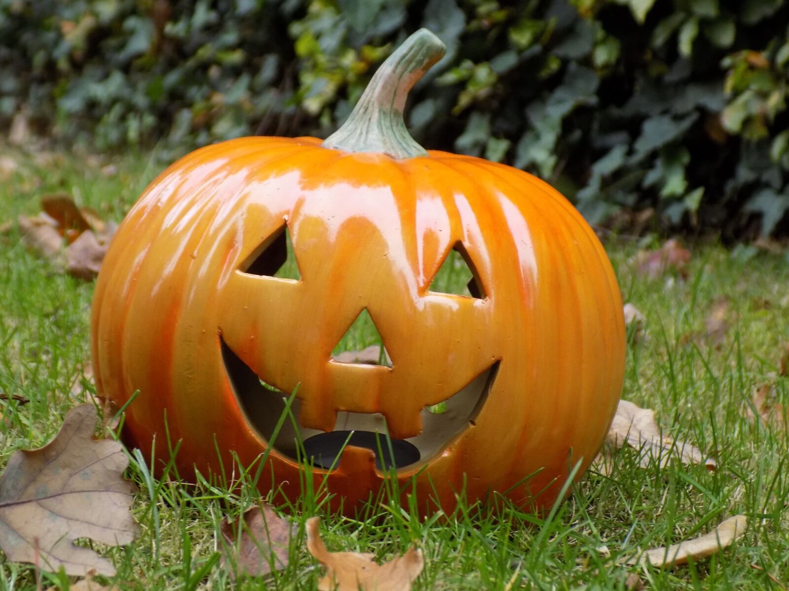 Nikon COOLPIX L340 sample photo. Pumpkin, halloween, decoration photography