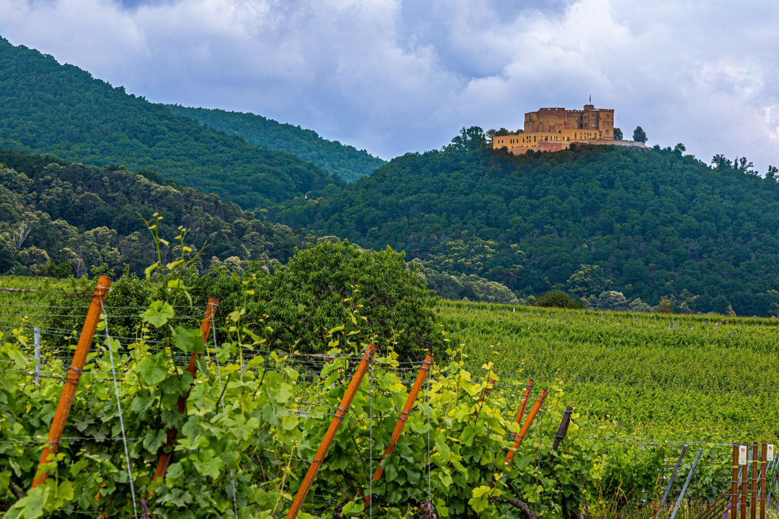 Canon EF 24-105mm F4L IS USM sample photo. Hambach, hambach castle, palatinate photography