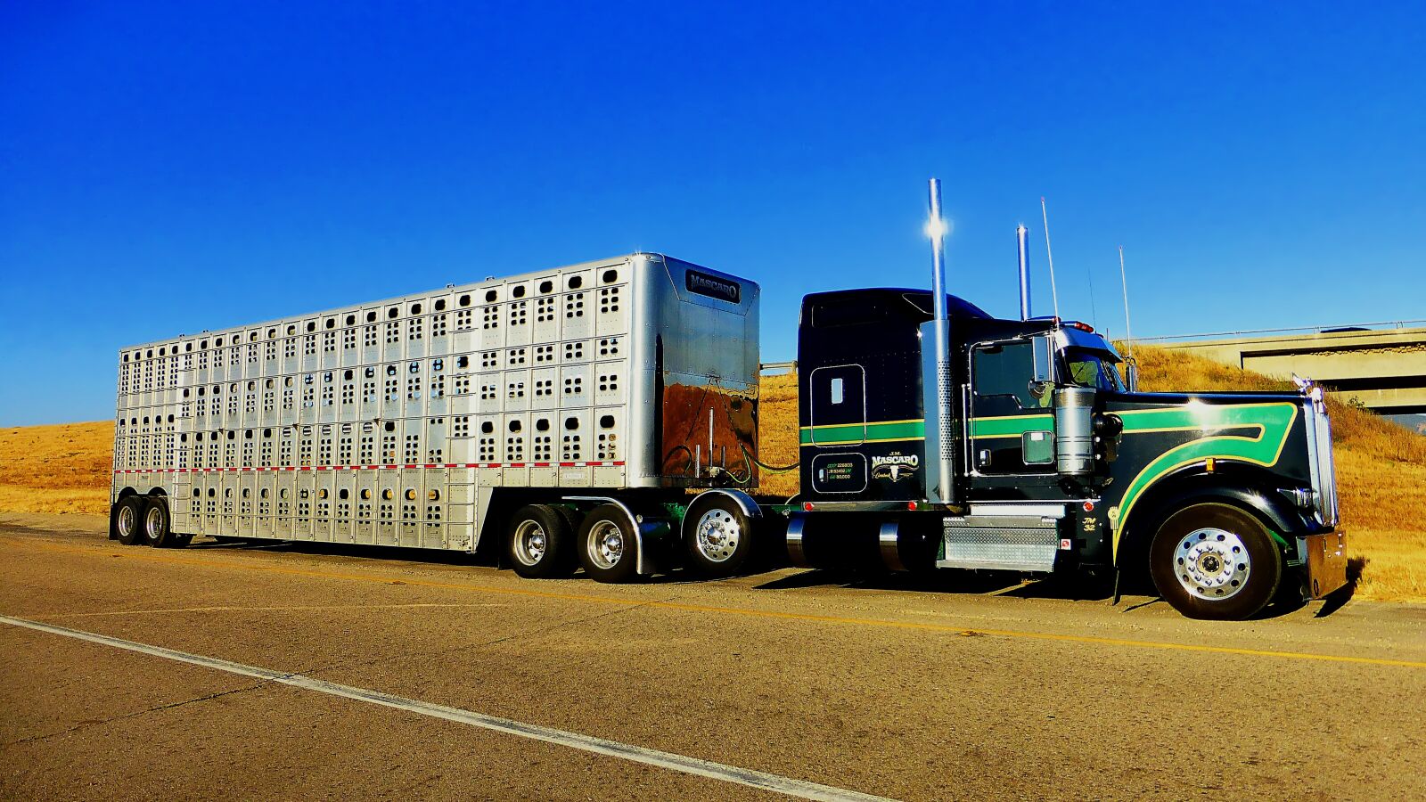 Panasonic Lumix DMC-ZS25 (Lumix DMC-TZ35) sample photo. Truck, america, trailer photography
