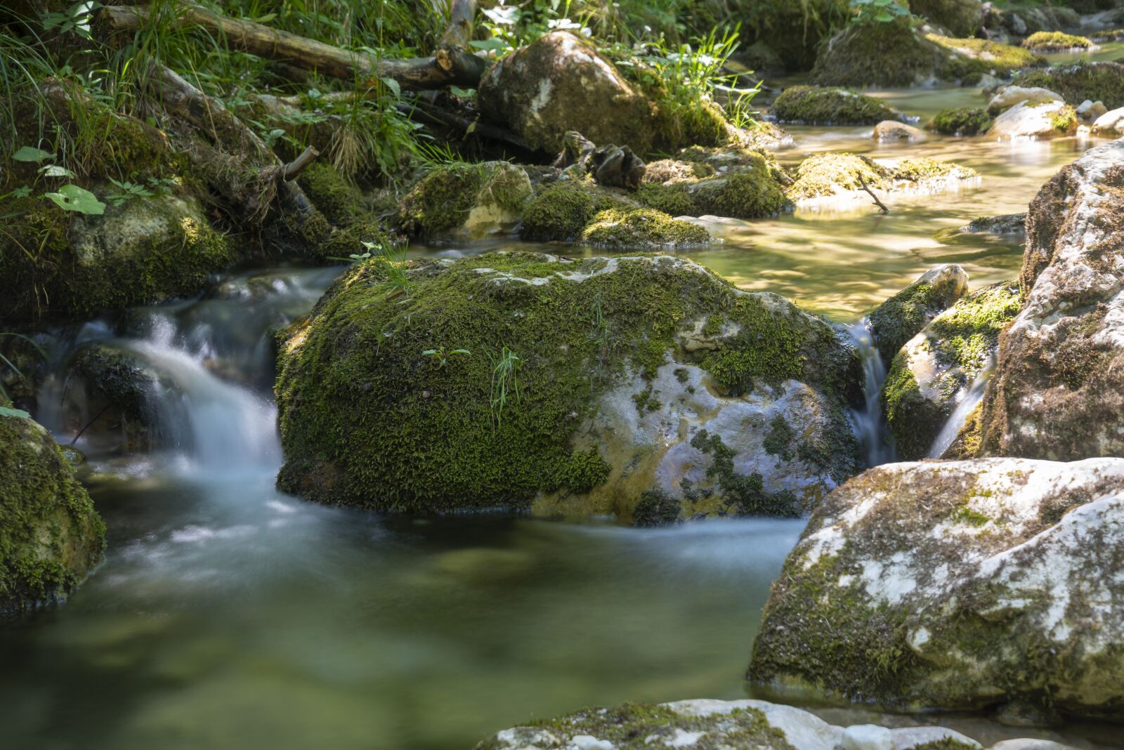 Nikon D750 sample photo. Nature, landscape, tyrol photography