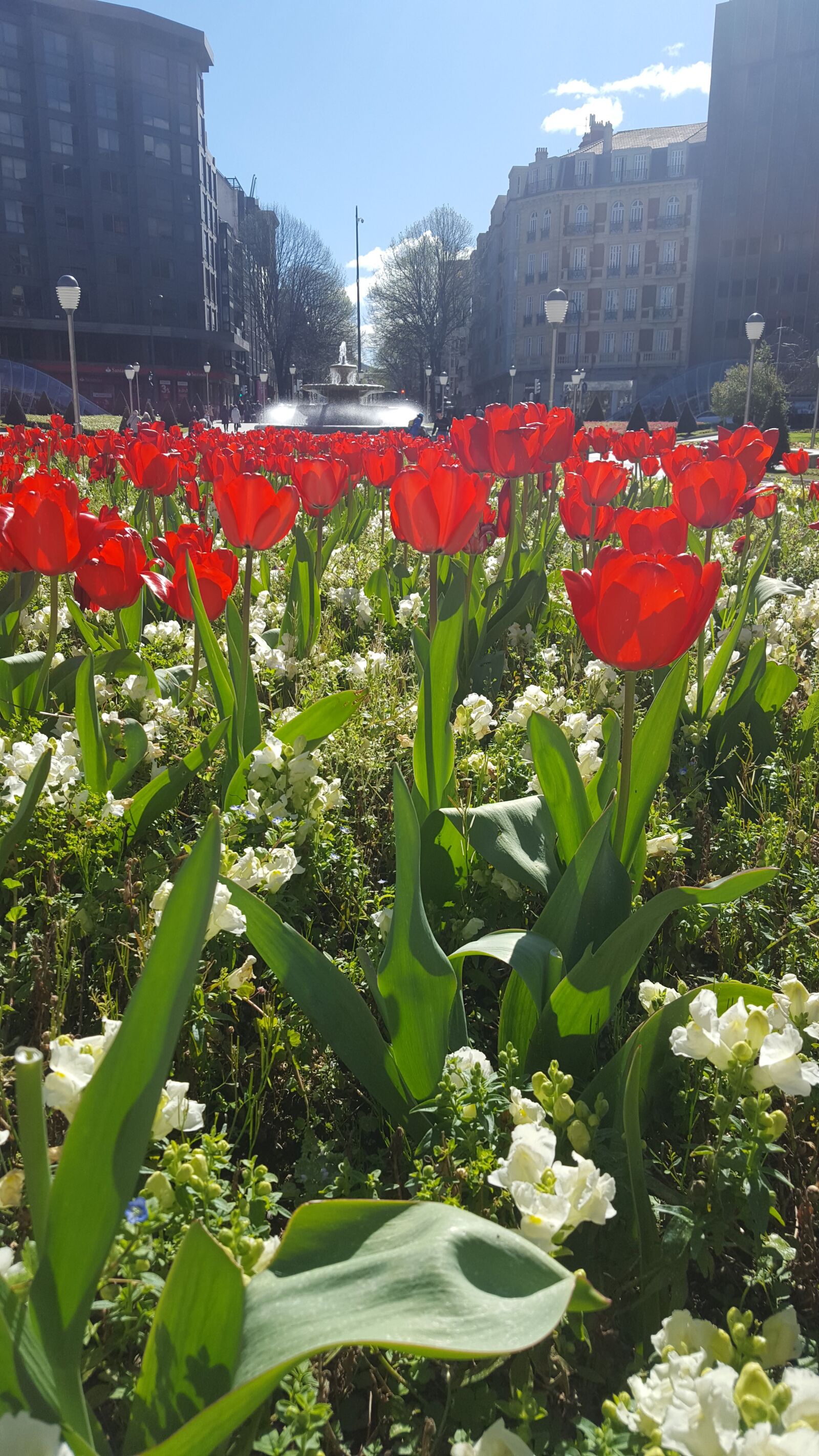 Samsung Galaxy S6 sample photo. City, garden, green photography