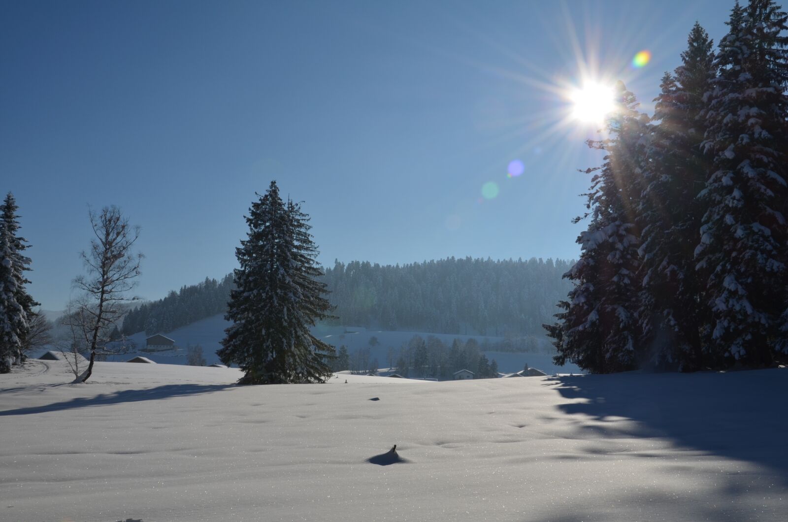 Nikon D5100 sample photo. Winter, landscape, tree photography