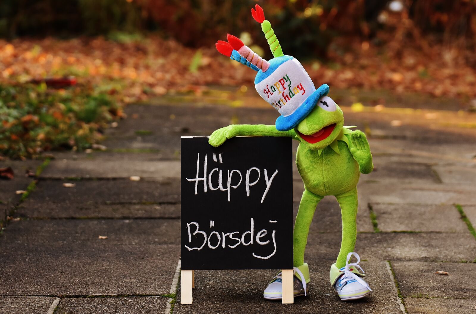 Nikon D7200 sample photo. Birthday, congratulations, kermit photography