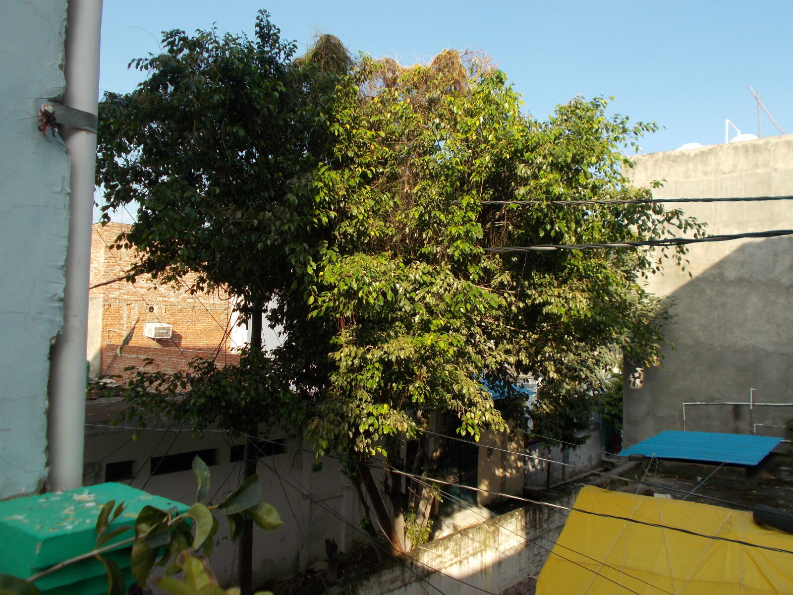 Nikon COOLPIX L29 sample photo