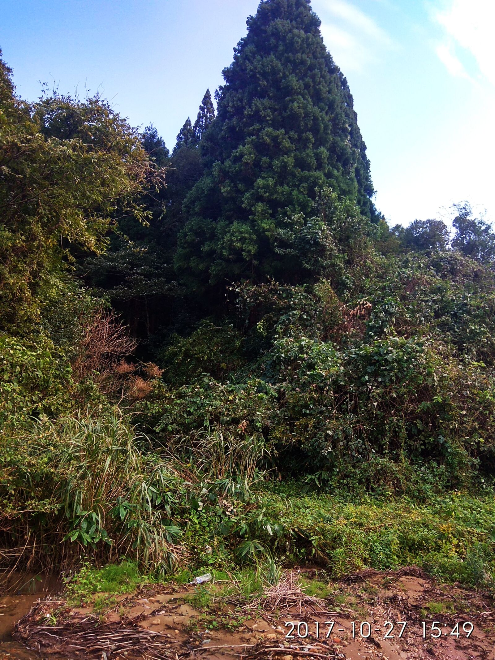Xiaomi Redmi Note 4 sample photo