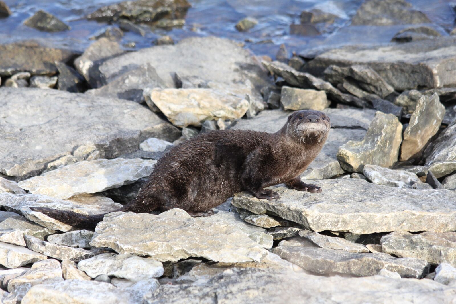 Canon EF 70-300mm F4-5.6 IS USM sample photo. Nature, water, rock photography