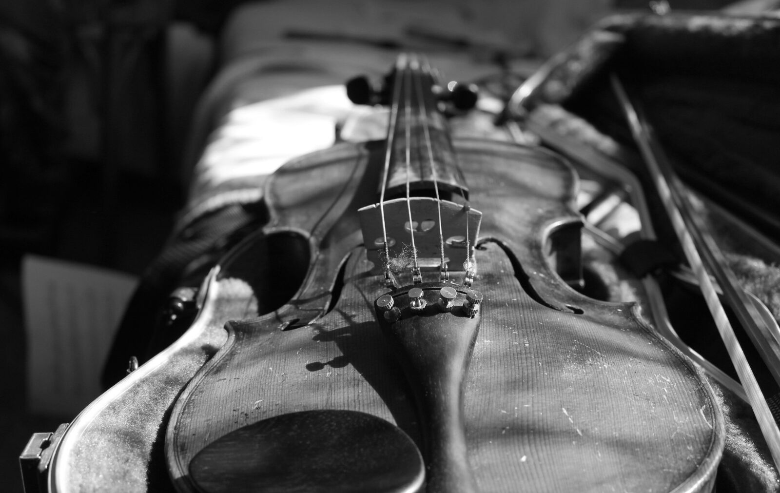 Canon EOS 1100D (EOS Rebel T3 / EOS Kiss X50) sample photo. Violin, black and white photography