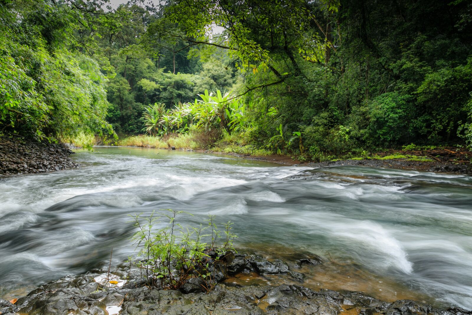 Canon EF 24-70mm F2.8L II USM sample photo. The waterfall, forest, streams photography
