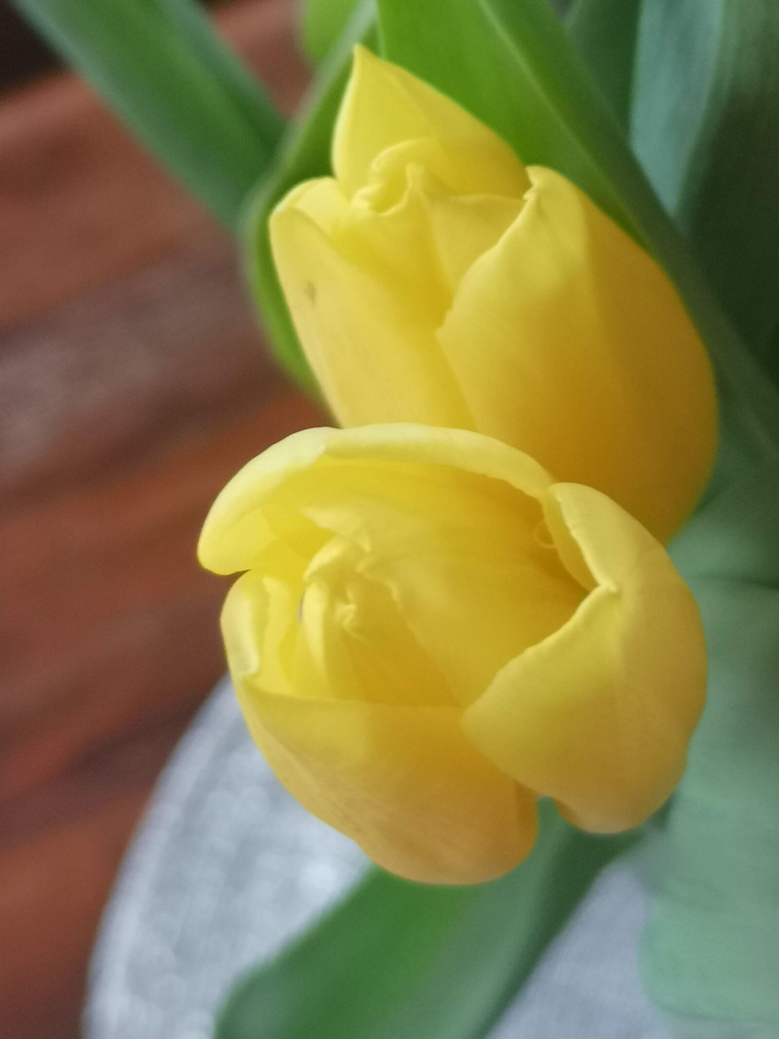 HUAWEI CLT-L29 sample photo. Yellow, easter, flower photography
