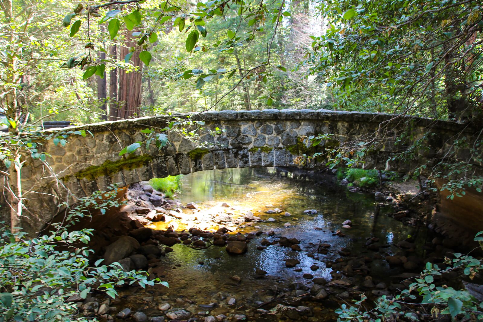 Canon EOS 600D (Rebel EOS T3i / EOS Kiss X5) sample photo. Bridge, river, yosemite photography