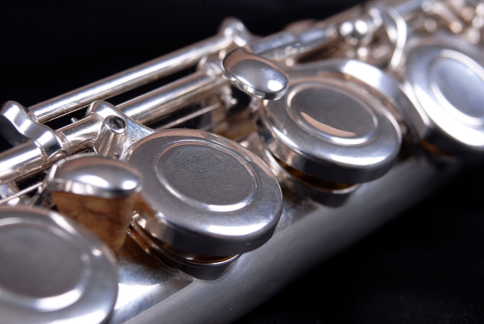 Nikon D200 sample photo. Flute, keys, shiny photography