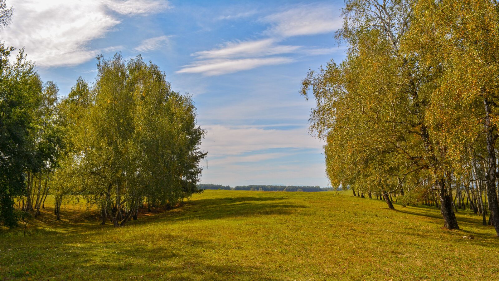 Nikon D5200 sample photo. Nature, forest, autumn photography