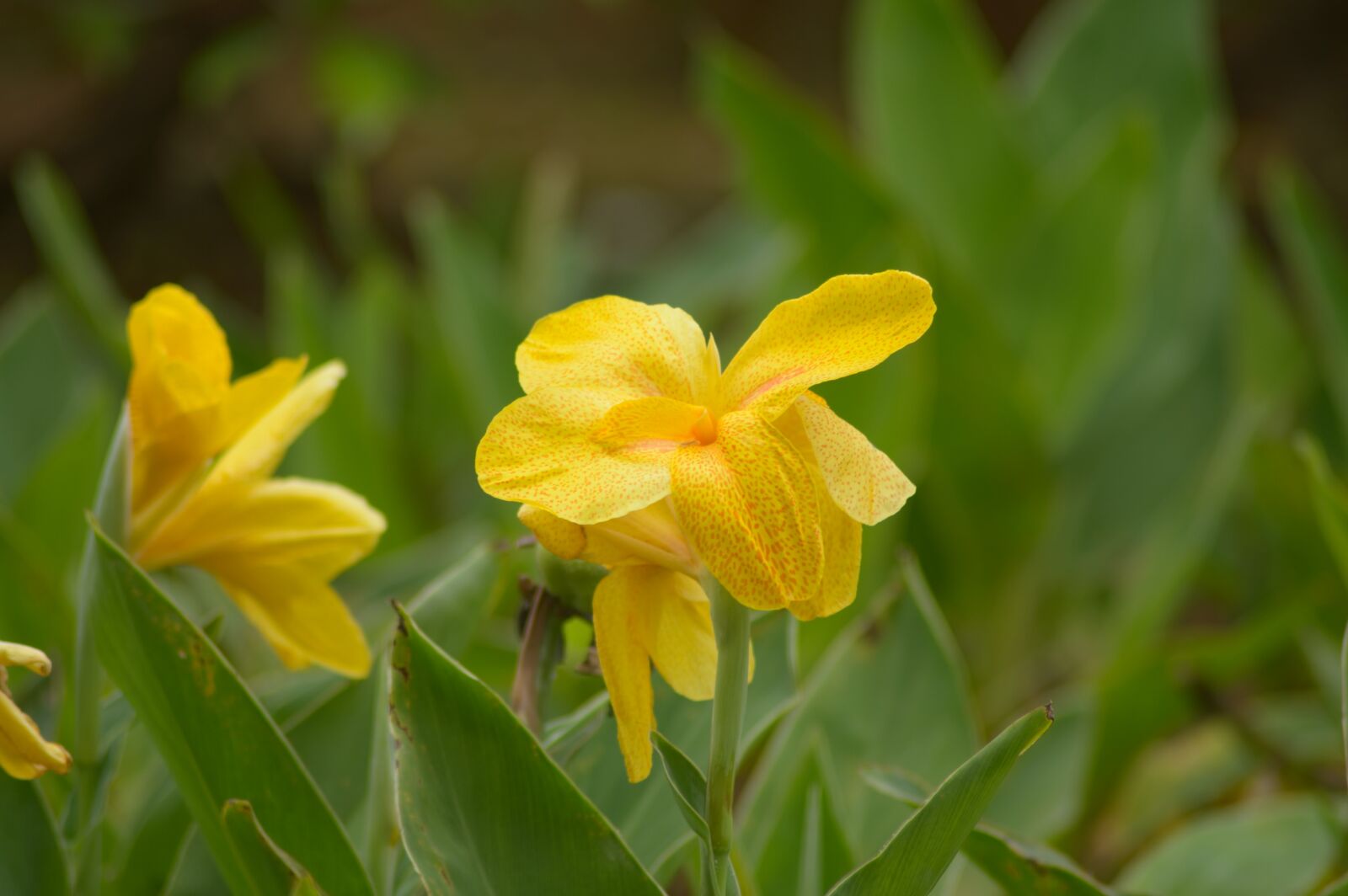 Nikon D3200 sample photo