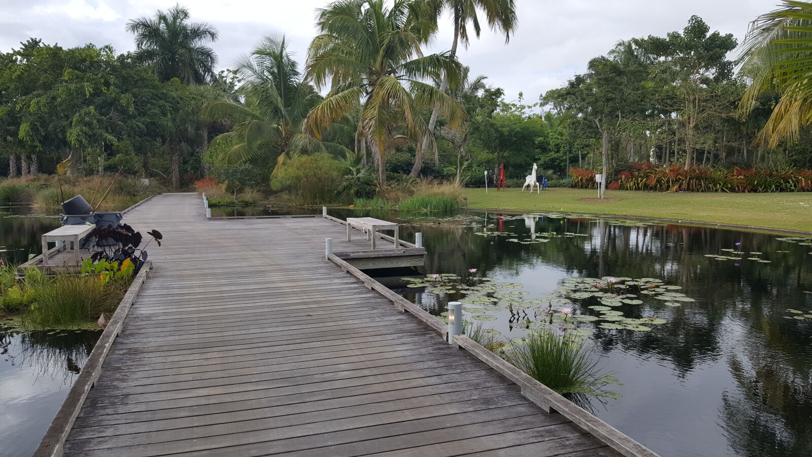 Samsung GALAXY S6 edge sample photo. Botanical, gardens photography