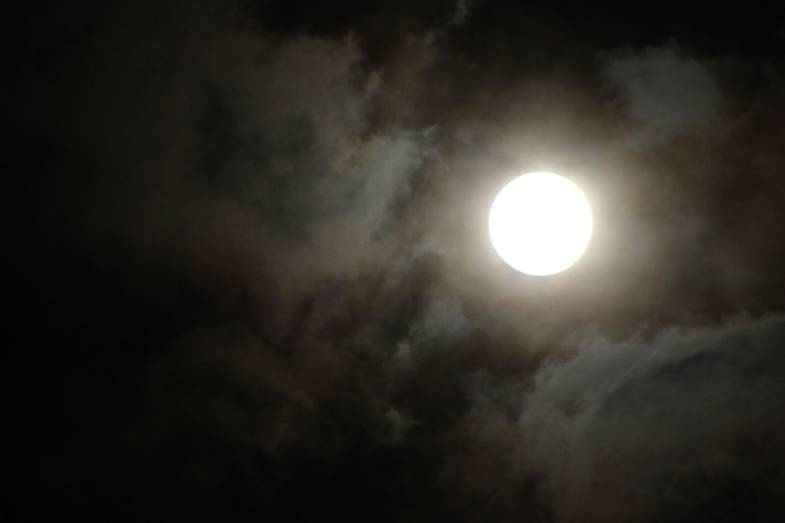 Canon EOS 7D Mark II sample photo. Bright, clouds, earth, evening photography