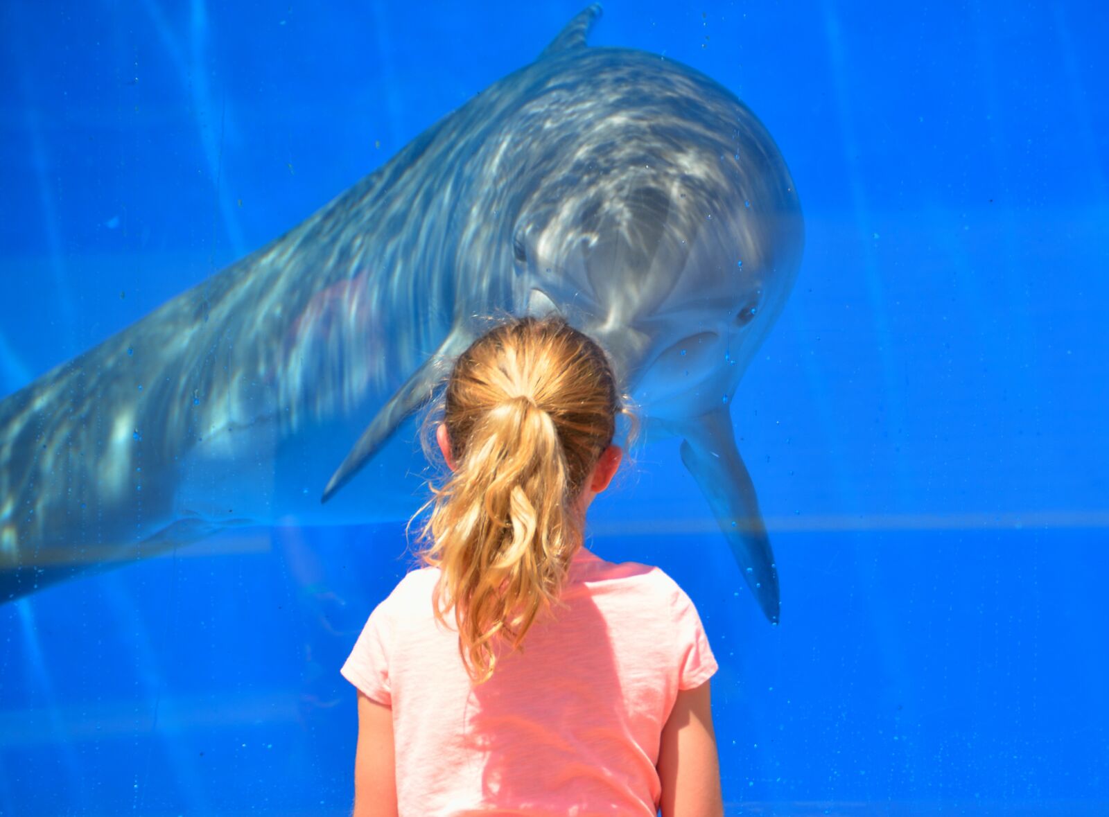 Nikon D7000 sample photo. Dolphin, child, children photography