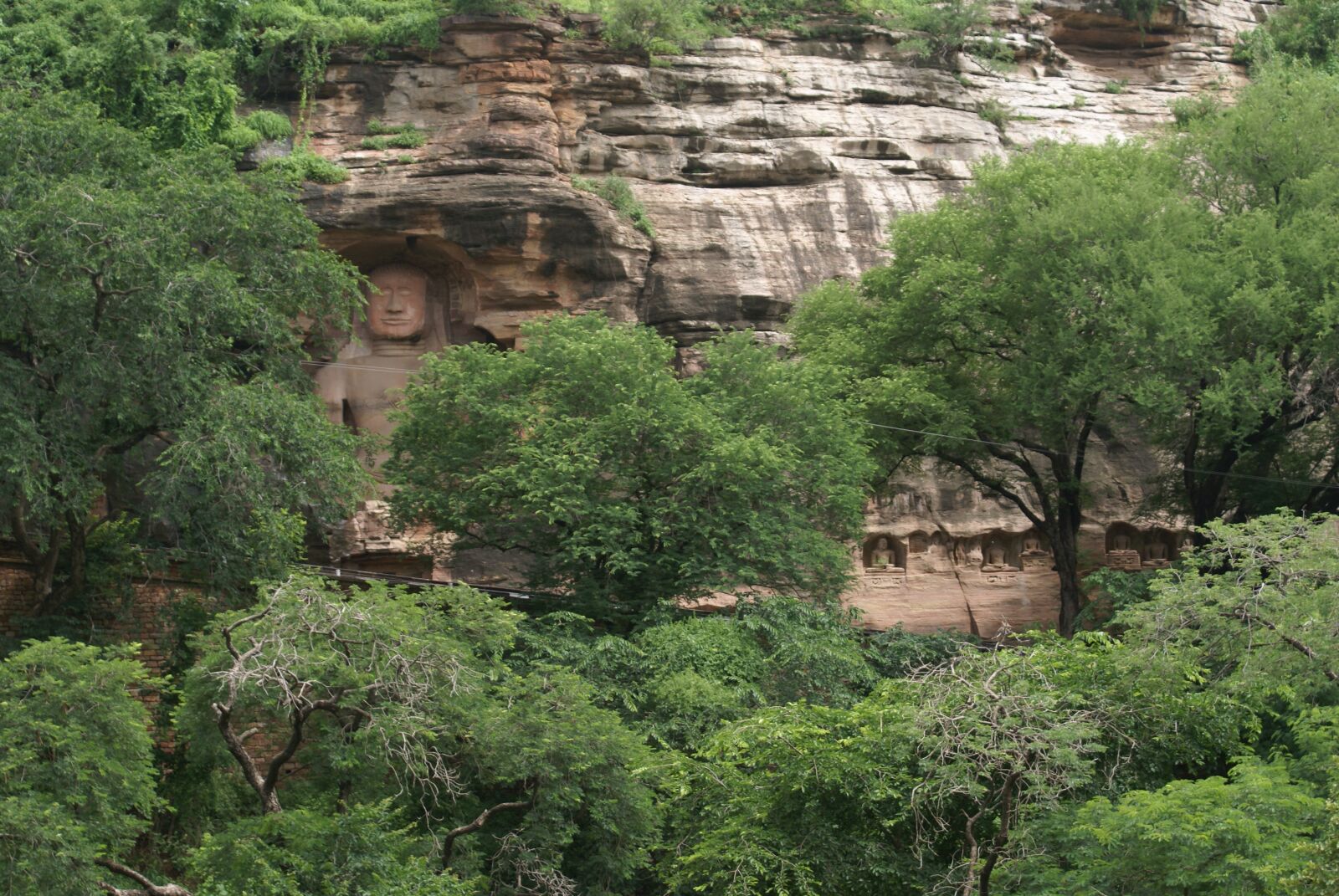 Sony Alpha DSLR-A100 sample photo. Forest, jungle, nature photography