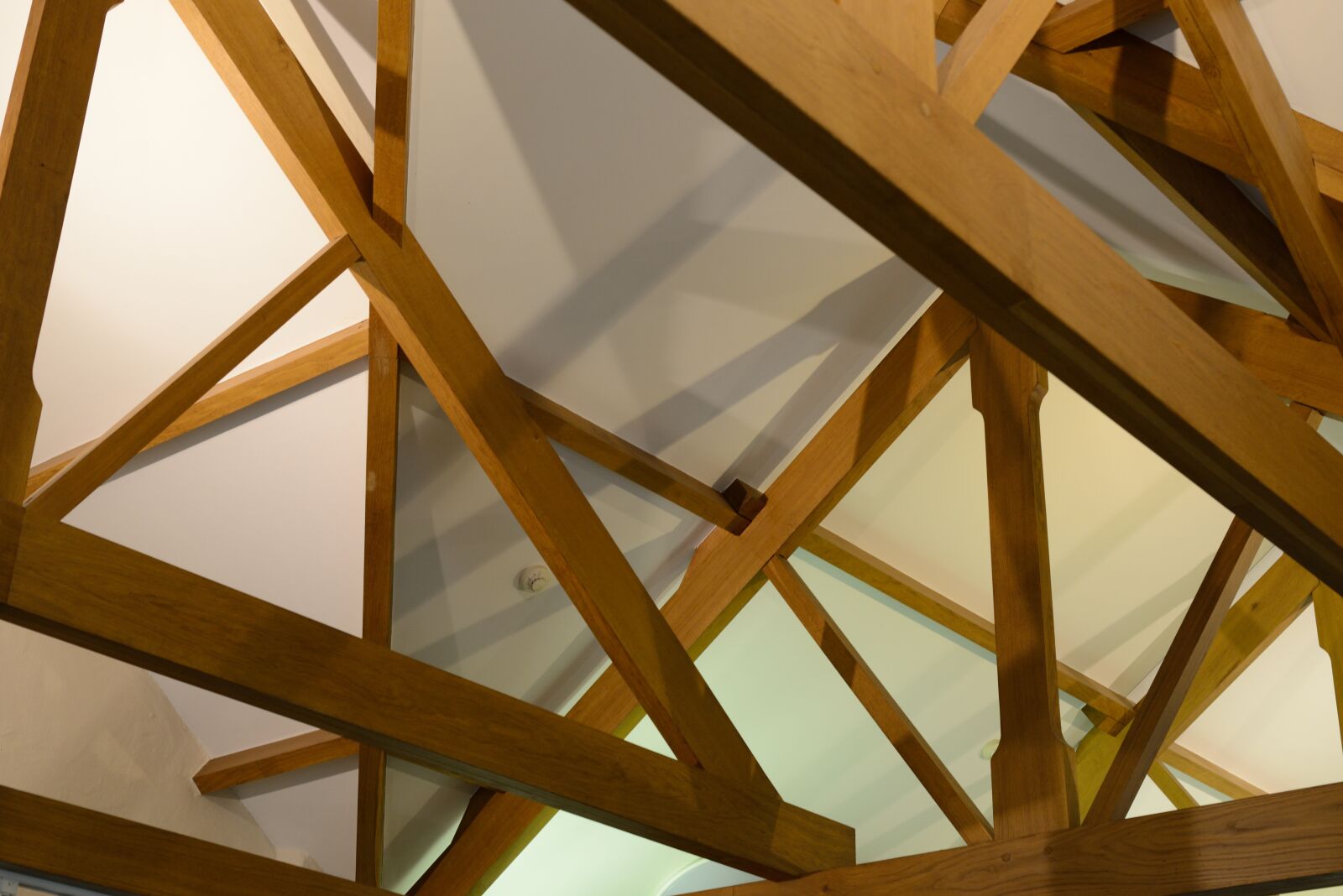 Nikon D800 sample photo. Ceiling, loft, beams photography